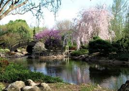Mizumoto Japanese Stroll Garden