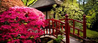 Zen Garden Ideas For Peace And Quiet