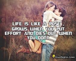 Life Is Like A Rose , Grows When You Put Effort And Dies Out When ... via Relatably.com