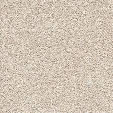 beige sea wall to wall carpet