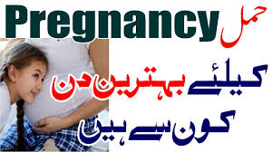 If you follow all the above mentioned methods then surely you will increase your chances of getting pregnant with a baby girl. How To Get Pregnancy Fast Tips In Urdu Youtube