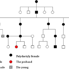 A Pedigree Chart Of The 5 Generation Family With 24 Normal