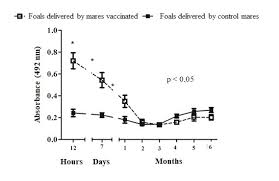 Dynamics Of Humoral Immune Response In Pregnant Mares And