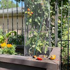 garden and bird feeders