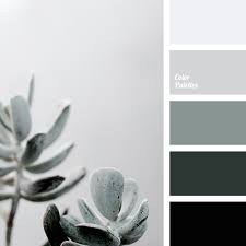 light gray color palette ideas