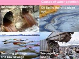 water pollution types causes effects