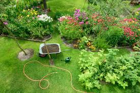 Planning Your Garden Space On A Budget