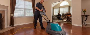 house wide general cleaning official