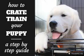how to crate train a puppy day night