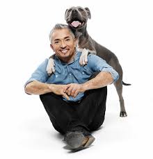 Thus, we've listed some effective training methods advised by dog experts. How To Talk To Dogs According To Macho Whisperer Cesar Millan