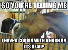 Horse Memes on Pinterest via Relatably.com