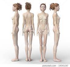 Female body 4 direction full nude version... - Stock Illustration  [19543287] - PIXTA