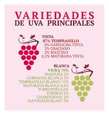 Grape Varieties Consejo Regulador Doca Rioja Riojawine