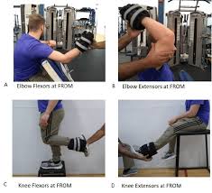 from elbow and knee eccentric exercise