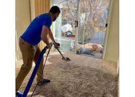 blue rooster carpet cleaning in