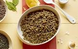 basic lentils