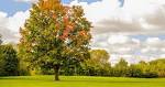 Meadowlark Golf Course | Golf Courses Hinsdale Illinois