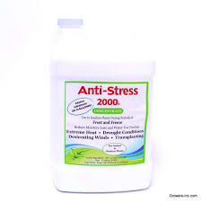 Anti Stress 2000 Concentrate