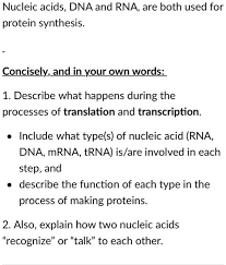 solved nucleic acids dna and rna are