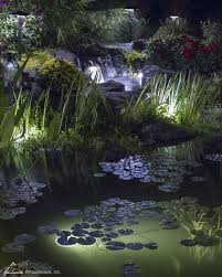Pond Lights And Outdoor Lighting Led Color Changing Lights Pond Lights Landscape Lighting Backyard Water Feature