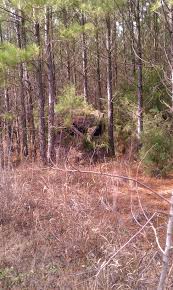 Popular elevated hunting blind plans. The Ground Blind Southern Georgia Hunt Camp Deer Hunting Blinds Ground Blinds Hunting