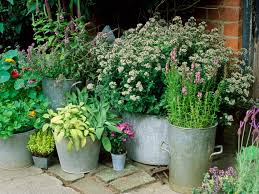 5 Perks Of Growing A Container Garden