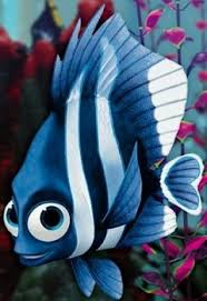 It features the following species: What Types Of Fish Are In Finding Nemo Characters From The Disney Film