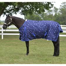 Wire Horse Upnorth 1200 Denier 200 Gram Medium Weight Waterproof Turnout Blanket