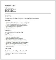 Sample Police Resume   Free Resume Example And Writing Download Examples Of Resumes Job Resume Example Jr Network Engineer Cv Resume  Template