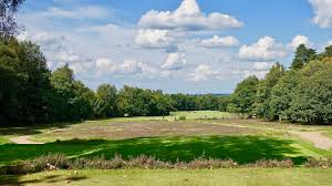 4 liphook is a traditional golf club