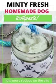 minty fresh dog friendly toothpaste