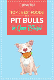 Top 5 Best Dog Food For Pitbulls To Gain Weight And Lean