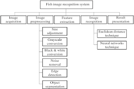 Figure 2 From Shape And Texture Based Fish Image