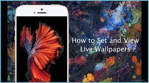 Live Wallpapers On Iphone 6 ...