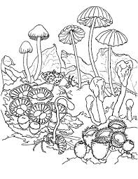 Free printable baby shark images. Printable Mushroom Coloring Pages
