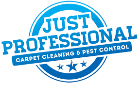 just professional carpet cleaning