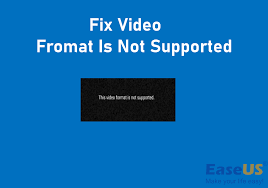 fix video fromat is not supported 2024