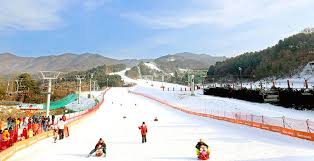 family friendly ski resorts in korea