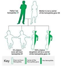 How Hemophilia Is Inherited Cdc