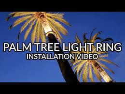 palm tree ring light led