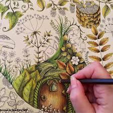 Bring this character to life off the page. Johanna Basford Enchanted Forest Colouring Book Ness Butler Prisma Color Pencils Coloring Book Art Enchanted Forest Coloring Book Johanna Basford Coloring