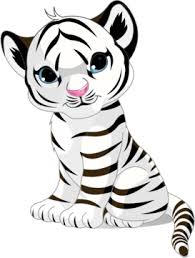 white tiger ilration png