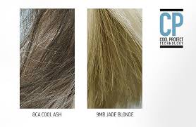 Goldwell Cool Blonde Collection Cool Blonde Balayage Hair