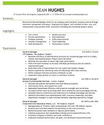 15 Best Cv Examples Guaranteed To Get You Hired