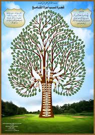 شجرة قبيلة التميمي قدرات
