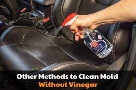how to get mold out of cars do s and