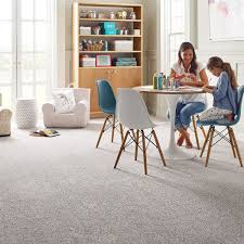 discover perfect carpet collections