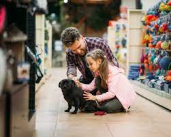 My pet market is a pet supply store offering high quality, holistic and natural pet food and pet accessories. Pet Dealers Agriculture And Markets