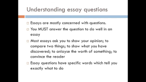 theme essay example essay theme examples haadyaooverbayresort     Elev 