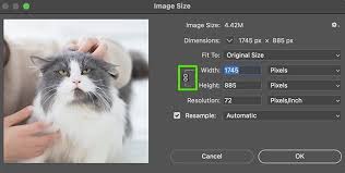 how to resize image in photo 4